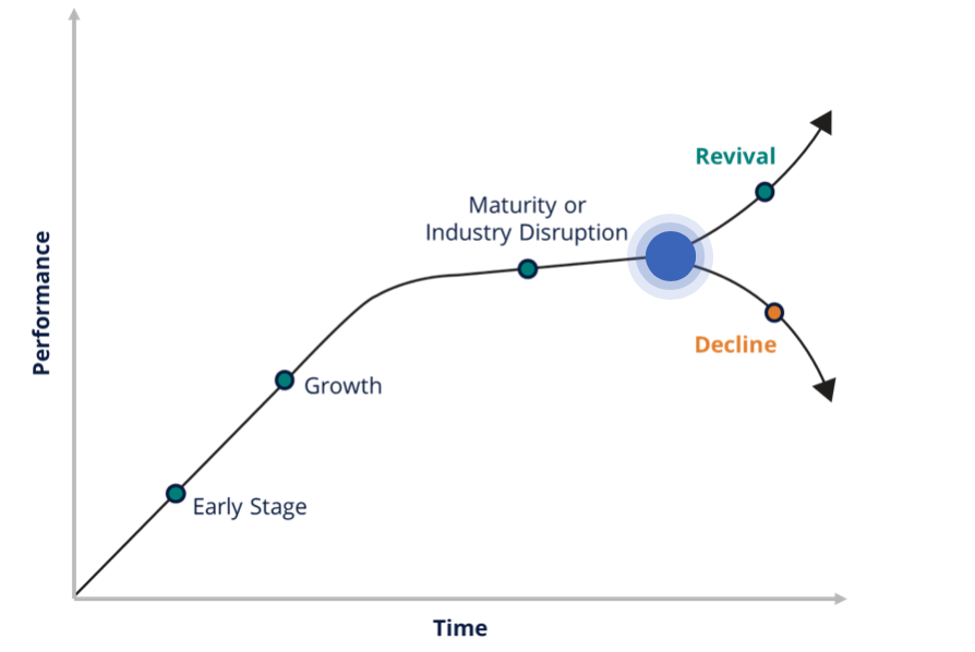 Business Lifecycle Curve